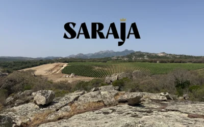 A Taste of Sardinia: Saraja Joins Our Import Portfolio