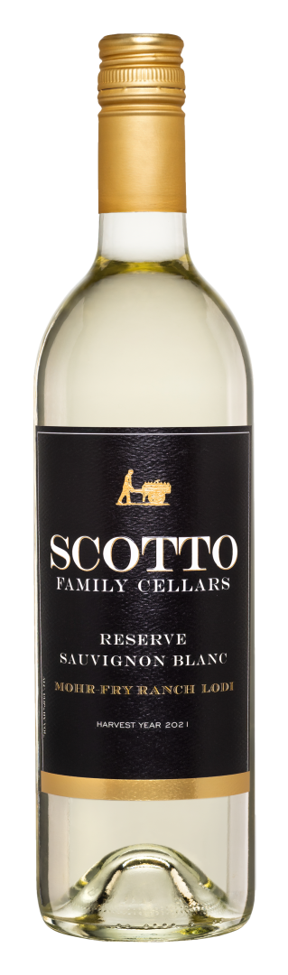 Scotto Family Cellars - Reserve Sauvignon Blanc KEG