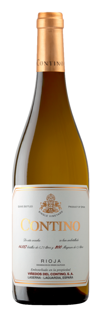 Contino - Blanco