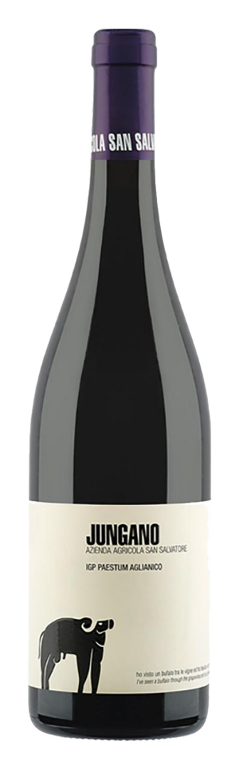 San Salvatore - Jungano Aglianico