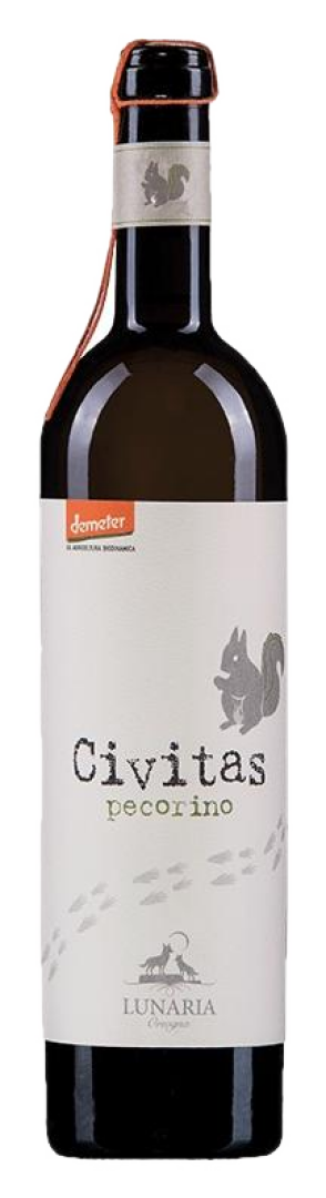 Lunaria - Civitas Pecorino Terre di Chieti