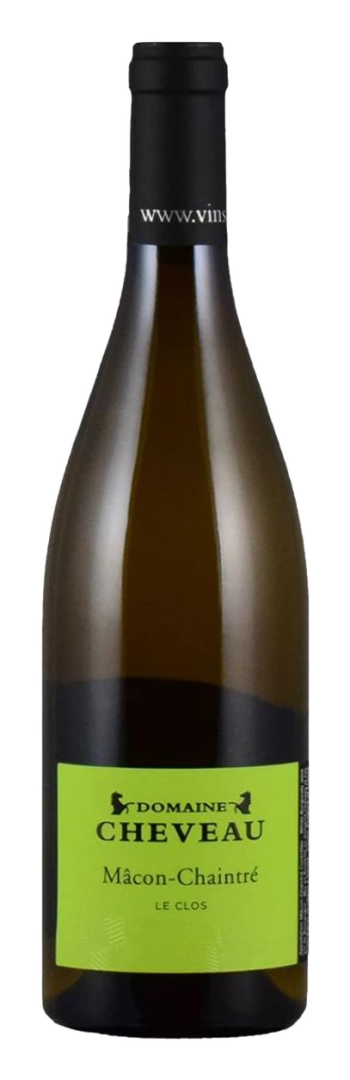 Dom Cheveau - Macon Chaintre Le Clos