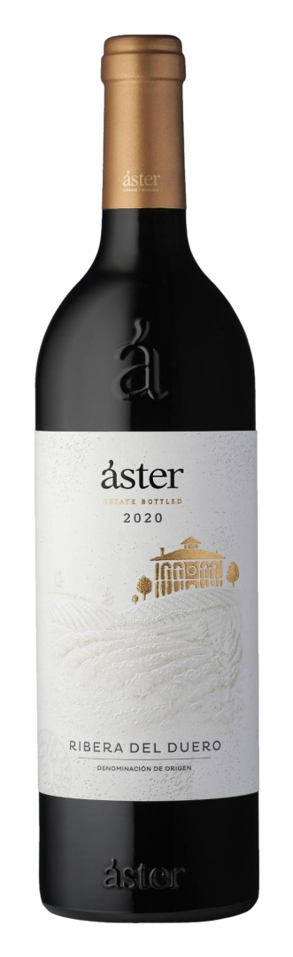 Aster - Crianza