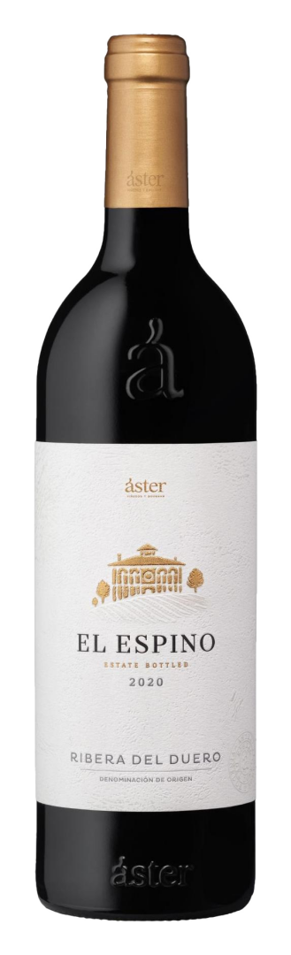 Aster - El Espino