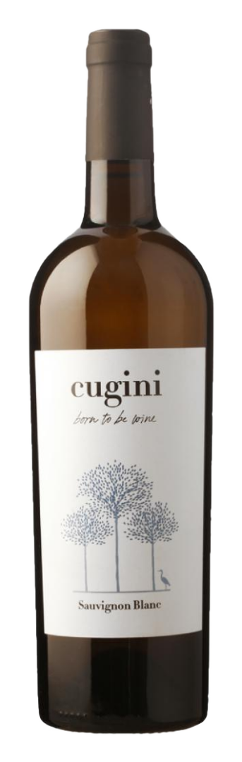 Cugini - Friuli Sauvignon Blanc