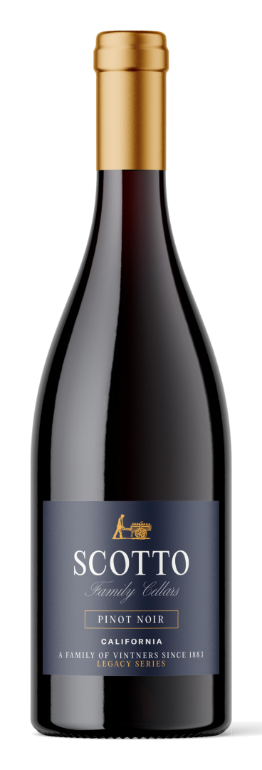 Scotto Family Cellars - Pinot Noir KEG
