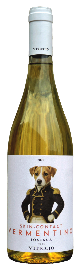 Viticcio - Orange Skin Contact Vermentino IGT